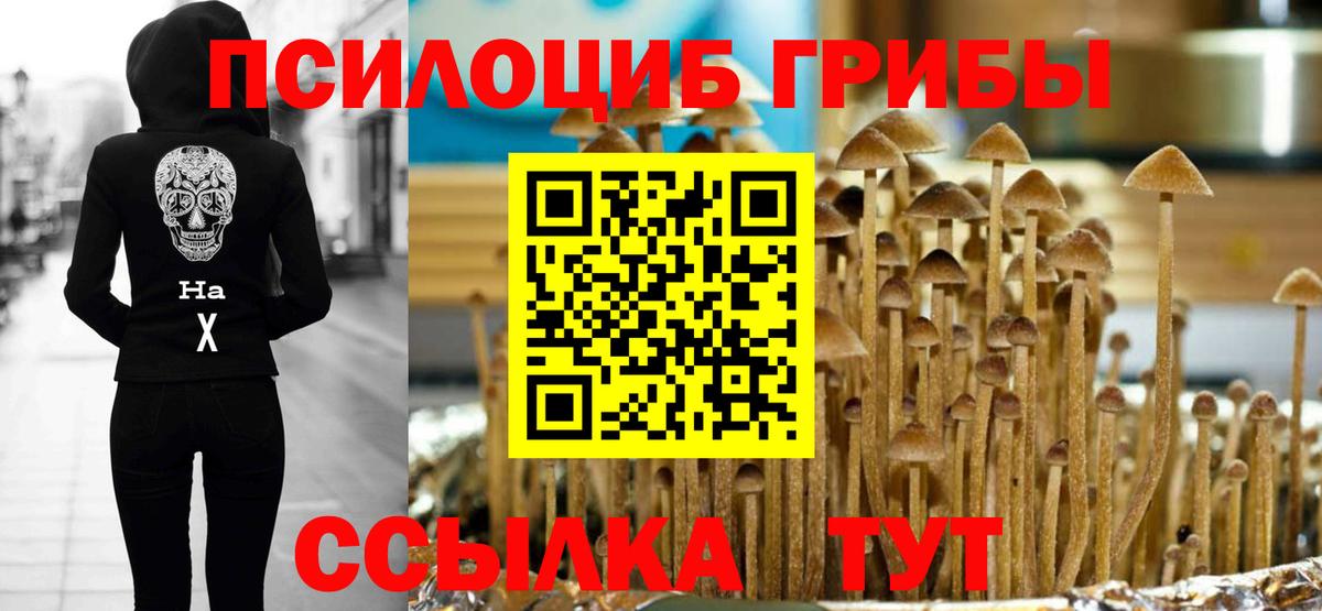 Псилоцибиновые грибы Cubensis  Вход с VPN  Тара 