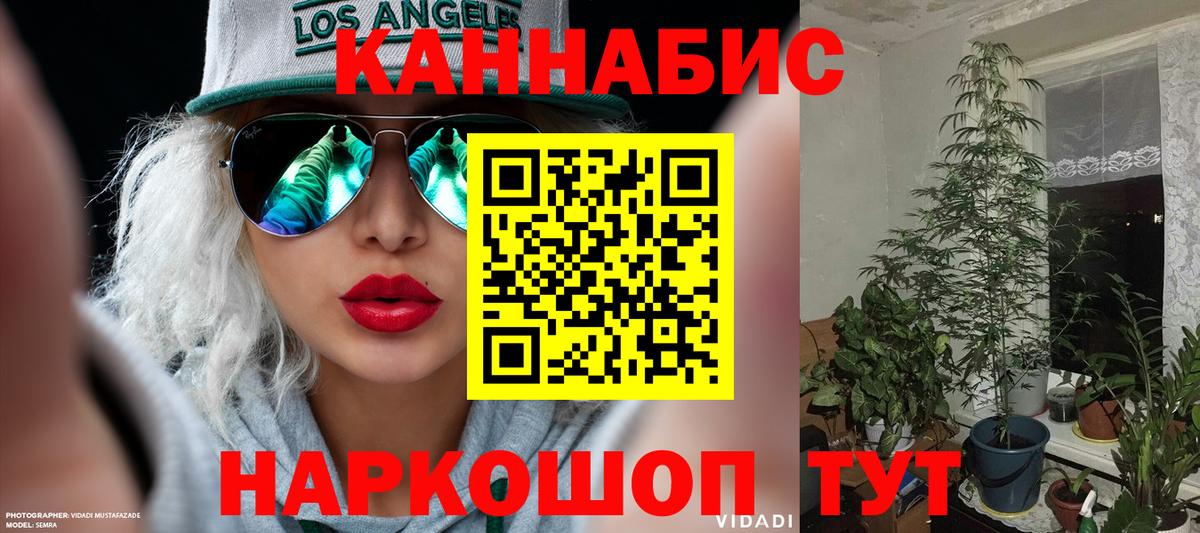 Бошки Шишки семена Тара